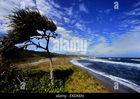 Parco nazionale delle dune di sabbia di Sigatoka. Viti Levu. Fiji. Sud Pacifico Foto Stock