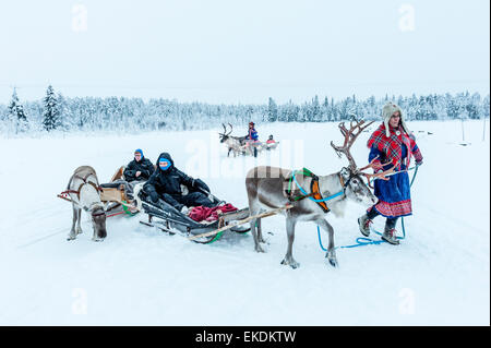 La renna Sleigh Ride. levi. Finlandia. Lapponia. scandinavia Foto Stock