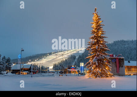 Grande albero di Natale all'aperto, Levi. Lapponia. Finlandia. Scandinavia Foto Stock