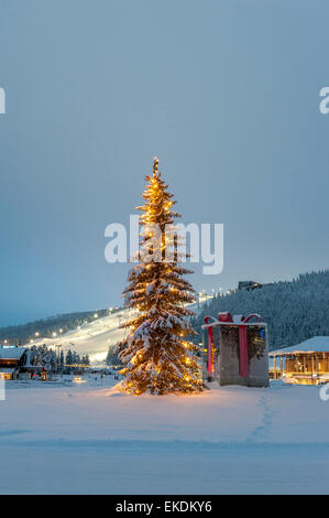 Grande albero di Natale all'aperto, Levi. Lapponia. Finlandia. Scandinavia Foto Stock