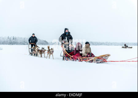 Husky sled tour. Kongass. Levi. La Finlandia. La Lapponia. La Scandinavia Foto Stock
