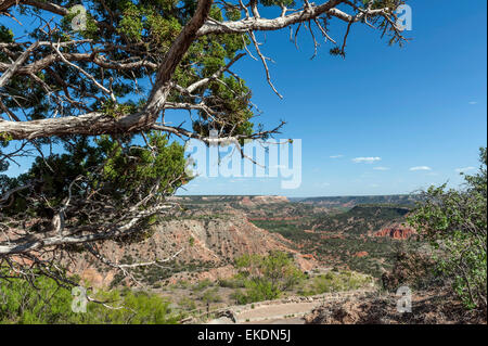 Palo Duro Canyon. Vicino a Amarillo. Texas Panhandle. Stati Uniti d'America Foto Stock