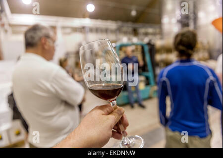 Tour del vino del cappuccio cantina di roccia, Lubbock, Texas. Stati Uniti d'America Foto Stock