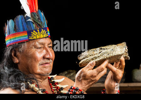 Shaman in Amazzonia ecuadoriana durante una vera e propria cerimonia Ayahuasca Modello rilasciato le immagini come si vede in aprile 2015 Foto Stock