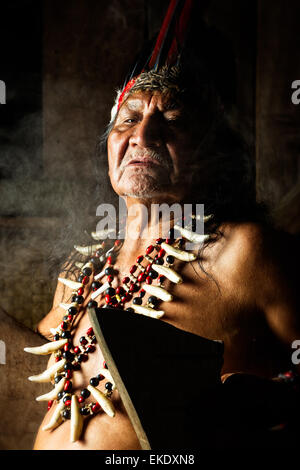 Shaman in Amazzonia ecuadoriana durante una vera e propria cerimonia Ayahuasca Modello rilasciato le immagini come si vede in aprile 2015 Foto Stock