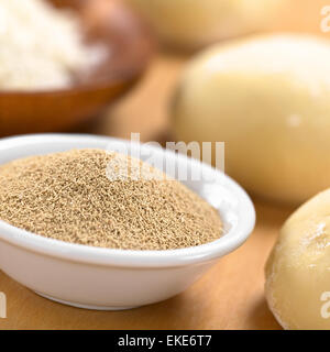 Lievito secco attivo in una piccola ciotola con la farina e la pasta (fuoco selettivo, la messa a fuoco al centro del lievito di birra secco) Foto Stock