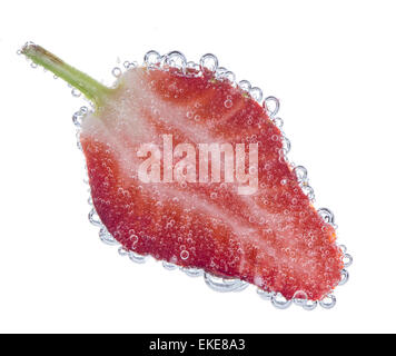 Fragole fresche in acqua con bolle Foto Stock