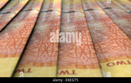 Una macro vista da vicino che mostra il dettaglio del rand sudafricano banconote stabiliti e sovrapposti in una fila sfalsata Foto Stock