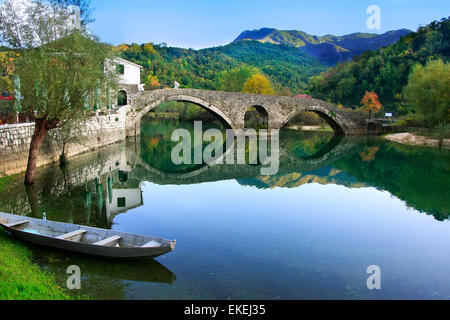 Ponte ad arco riflesso nel fiume Crnojevica, Montenegro, Balcani Foto Stock