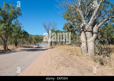 Gibb River Road, Kimberley, Western Australia, WA, Australia Foto Stock