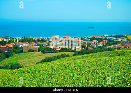 Paesaggio con campo di girasoli e piccola cittadina sulla costa del mare. Ancona, Italia Foto Stock