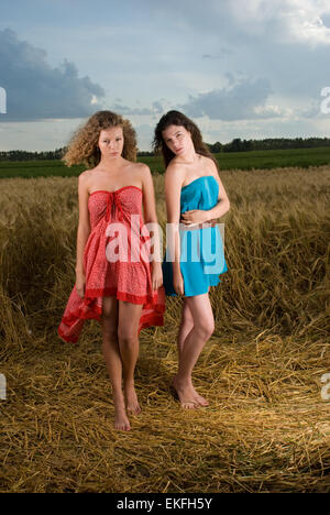 Due belle ragazze slavo nel campo di grano Foto Stock