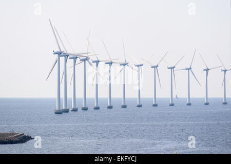 Middelgrunden offshore wind farm turbina (2000), in l'Øresund, a largo della costa da Copenhagen, Danimarca. Foto Stock