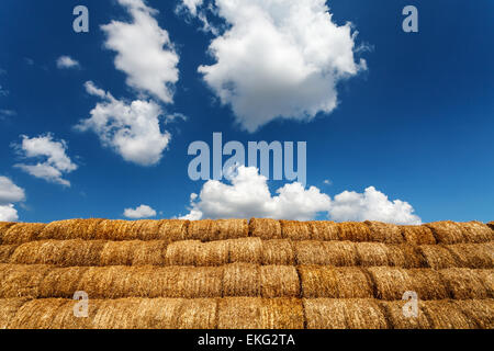 Balle di paglia sotto il blu cielo molto nuvoloso Foto Stock