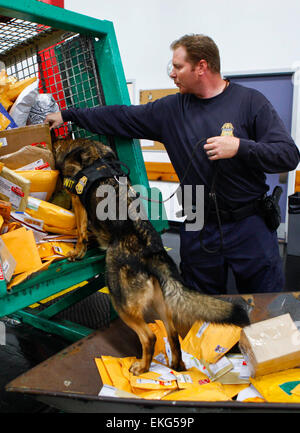 I funzionari del CBP hanno effettuato ispezioni postali presso uno stabilimento vicino a Miami, Florida, per assicurarsi che tutta la posta in arrivo sia conforme alle leggi e alle normative statunitensi. L'ispezione fa parte delle normali operazioni doganali volte a impedire l'entrata in contrabbando. Foto Stock