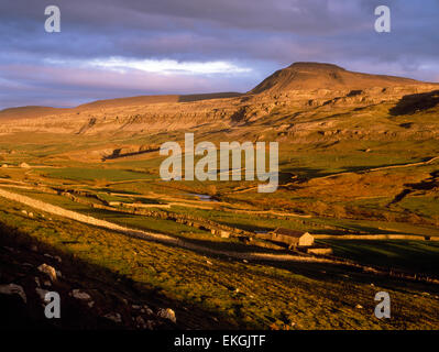 Ingleborough Hill, North Yorkshire, guardando ad est attraverso il DOE valle dalla cicatrice Twisleton Fine. In Inghilterra i livelli più elevati di età del ferro hillfort. Foto Stock