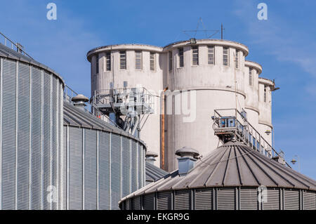 Impianto di stoccaggio cereali e produzione di biogas; silos e torri di essiccazione Foto Stock