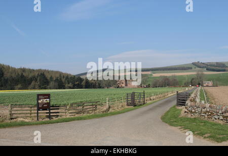 Strada per il castello edzell scozia aprile 2015 Foto Stock