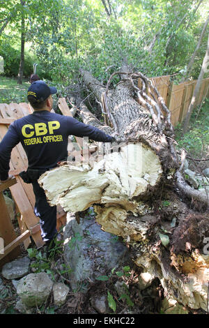 Agosto 2011: Uragano Irene postumi nel New Jersey. Un funzionario di CBP controlla la situazione di un albero abbattuto a casa di un funzionario di CBP e le azioni da intraprendere per sgombrare la strada e forniscono un'area di sicurezza. Donna Burton Foto Stock