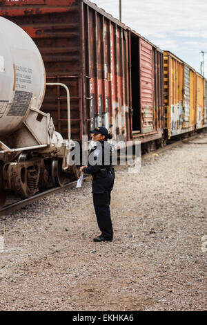 Foto scattata nel 2012 al confine tra Stati Uniti e Messico a Nogales, Arizona, che mostra una donna ufficiale dell'Ufficio operazioni sul campo del CBP durante le operazioni di sicurezza delle frontiere. Foto Stock