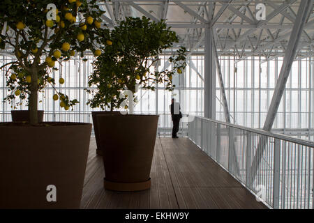 Torino, Italia. Il 10 aprile 2015. Vista della serra alla sommità di Intesa Sanpaolo grattacielo. L'edificio, progettato dall'architetto Renzo Piano, è la nuova sede di Intesa Sanpaolo Banca in Torino, Italia. Foto Stock