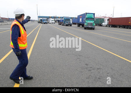 I funzionari delle dogane e della protezione delle frontiere degli Stati Uniti presso un porto di entrata hanno condotto un'ispezione delle spedizioni in entrata, scoprendo merci contraffatte, compresi frutta falsa e articoli confezionati. Il CBP ha utilizzato la tecnologia VACIS per eseguire la scansione di veicoli e veicoli alla ricerca di potenziali contrabbando e applicare le leggi commerciali statunitensi. Foto Stock