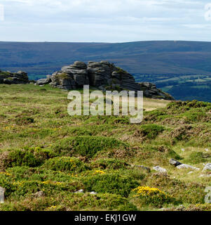 Top Tor su East Dartmoor guardando in giù a Widecombe nella valle di moro con Heather & gorse in primo piano Foto Stock