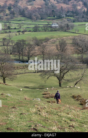 Una femmina di walker con il cane a camminare verso il basso di una collina nel Borrowdale. Il fiume e la valle sono di fronte a lei. Foto Stock