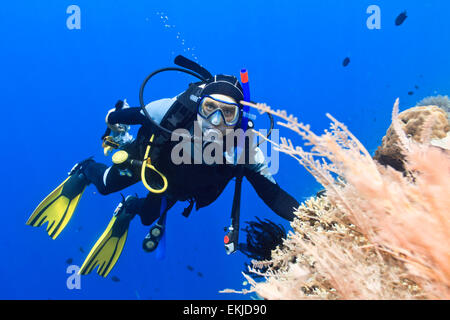 Scuba Diver underwater vicino alla barriera corallina Foto Stock