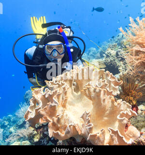 Scuba Diver underwater vicino alla barriera corallina Foto Stock