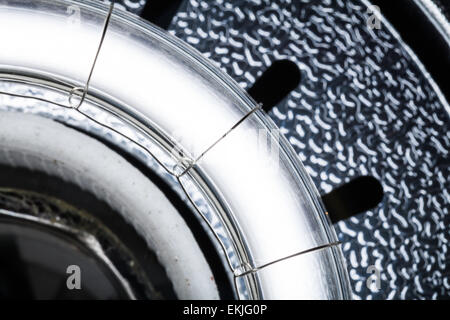 Studio professionale flash Close-up utilizzando lenti Macro Foto Stock