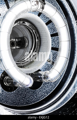 Studio professionale flash Close-up utilizzando lenti Macro Foto Stock