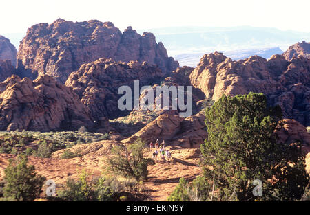 Red formazioni rocciose dwarf gli escursionisti a pietrificate dune di sabbia, Snow Canyon State Park, nei pressi di San Giorgio, Utah, Stati Uniti d'America Foto Stock