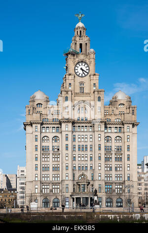 Royal Liver Building, Sito Patrimonio Mondiale dell'UNESCO, Liverpool città mercantile marittima, Liverpool, Merseyside England Foto Stock