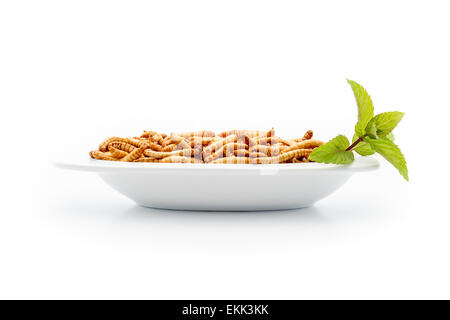 Mealworms sulla piastrina con decoro. Il cibo del futuro. Mealworms sono sani e gustosi. Essi contengono proteine e a basso contenuto di grassi Foto Stock