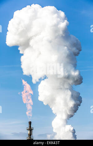 Posizione di acciaio Hamborn Duisburg, Schwelgern ThyssenKrupp Steel, cokeria, cannello a gas. Foto Stock