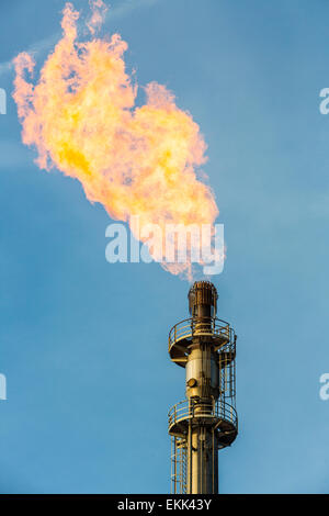 Posizione di acciaio Hamborn Duisburg, Schwelgern ThyssenKrupp Steel, cokeria, cannello a gas. Foto Stock