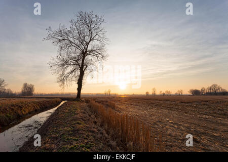 Paesaggio invernale nel nord Italia : plain campagna al tramonto Foto Stock