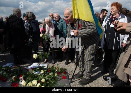 Weimar, Germania. Xi Apr, 2015. Ex prigioniero ucraino di Buchenwald campo di concentramento, Petro Mischtschuk (C), posti fiori su una targa commemorativa durante un evento commemorativo sulla parata a terra di Buchenwald campo di concentramento nei pressi di Weimar, Germania, 11 aprile 2015. Il 11 aprile 1945, le truppe degli Stati Uniti sono arrivati al camp che terrà 21.000 prigionieri. Foto: SEBASTIAN KAHNERT/dpa/Alamy Live News Foto Stock