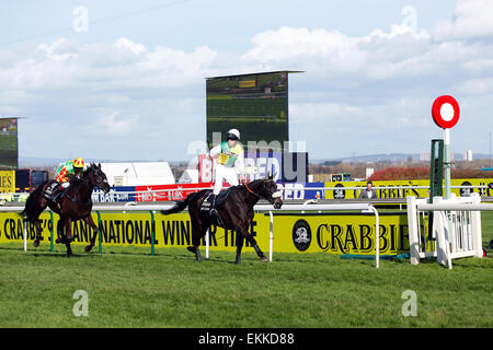 L'Aintree Racecourse, Liverpool, Regno Unito. Xi Apr, 2015. Crabbies Grand National. Molte nuvole cavalcato da Leighton Aspell attraversa la linea del traguardo e vince la gara Credit: Azione Plus immagini di sport/Alamy Live News Foto Stock