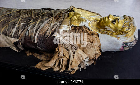 Chiusura del Fayum / Faiyum mummia e parte del dipinto cartonnage mummia caso con maschera ritratto dal periodo copta in Egitto Foto Stock