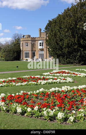Nonsuch Park, Cheam Surrey, Inghilterra, Regno Unito. 11 aprile 2015. Un display a colori del rosso e del bianco primulas sulla bella giornata di primavera con il blu del cielo e le soffici nuvole sopra Nonsuch Mansion a Cheam nel Surrey. Foto Stock
