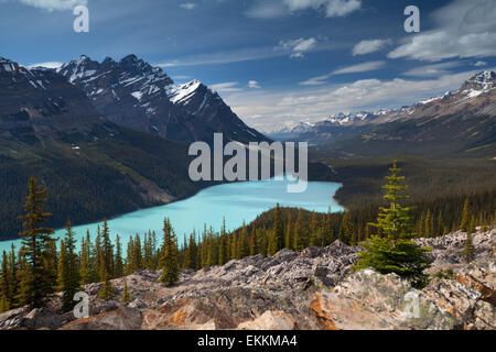 Il Lago Peyto. Canadian Rocky Mountains. Il Parco Nazionale di Banff. Lo stato di Alberta. In Canada. Foto Stock