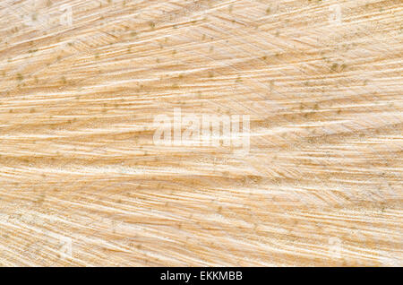 Primo piano per tagliare il tronco di albero sfondo texture Foto Stock