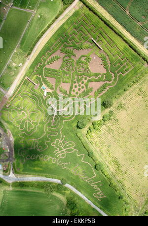 Labirinto di mais per celebrare il lancio di Julia Donaldson il libro "L' Scarecrows Wedding, Staffordshire, Regno Unito - aerial shot Foto Stock