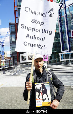 Londra, Regno Unito. 11 Aprile, 2015. I membri di Londra i diritti degli animali e Londra azione vegano assemblati al di fuori della sede di Londra del canale 4 in segno di protesta contro le emittenti televisive' copertura della Crabbies Grand National corsa di cavalli, un evento che ha causato la morte di molti cavalli. Credito: Vedere Li/Alamy Live News Foto Stock