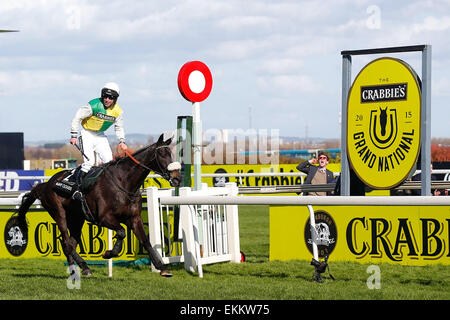 Liverpool, Regno Unito. 11 Aprile, 2015. L'ippodromo di Aintree, Liverpool, in Inghilterra. Crabbies Grand National. Molte nuvole cavalcato da Leighton Aspell vince la gara Credit: Azione Plus immagini di sport/Alamy Live News Foto Stock