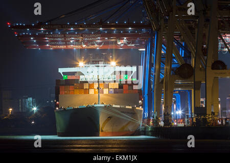 Nave container terminal per container Tollerort di notte, dal porto di Amburgo, Germania, Europa Foto Stock