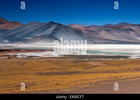 Alori Calientes alta sul altiplano nel deserto di Atacama nel Cile settentrionale. Le aree bianche sono depositi di sale. Foto Stock