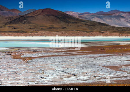 Alori Calientes alta sul altiplano nel deserto di Atacama nel Cile settentrionale. Le aree bianche sono depositi di sale. Foto Stock